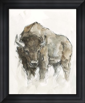 Framed American Buffalo II Print