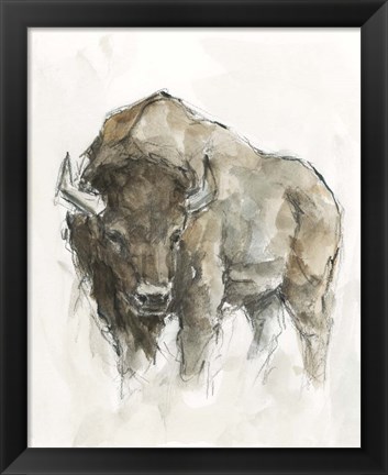 Framed American Buffalo II Print