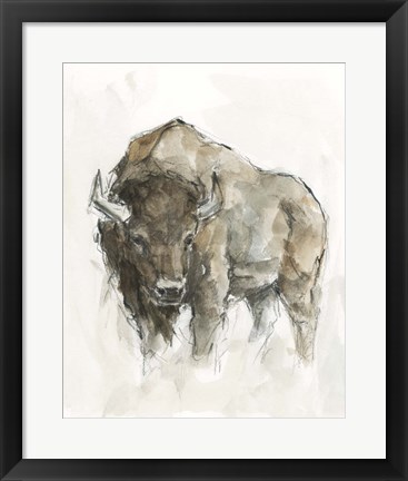 Framed American Buffalo II Print