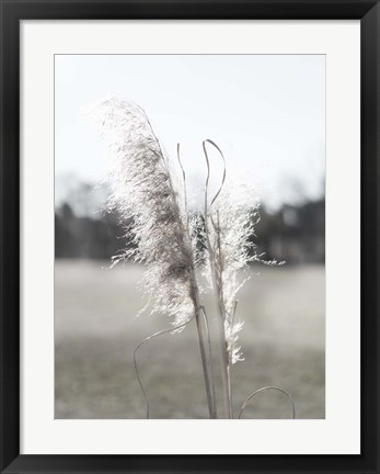 Framed Ethereal Pampas I Print