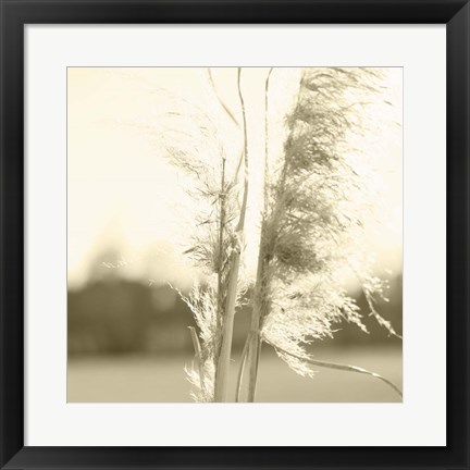 Framed Ethereal Pampas V Print