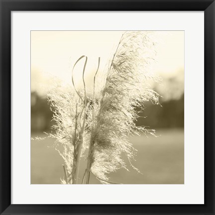 Framed Ethereal Pampas VI Print