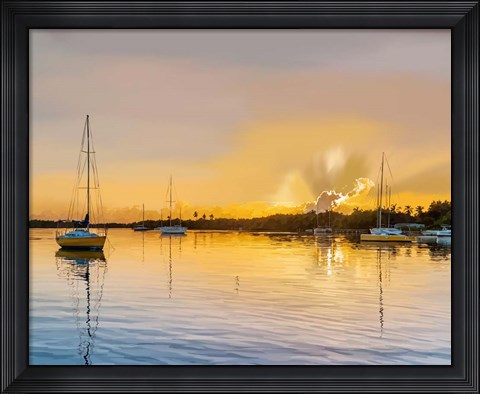 Framed In the Golden Light IV Print