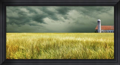 Framed Yellow Field Print