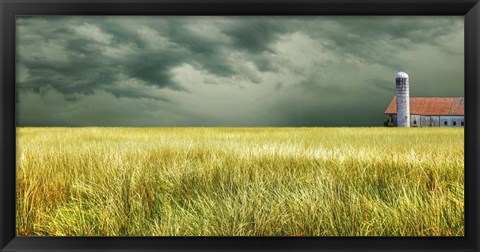 Framed Yellow Field Print