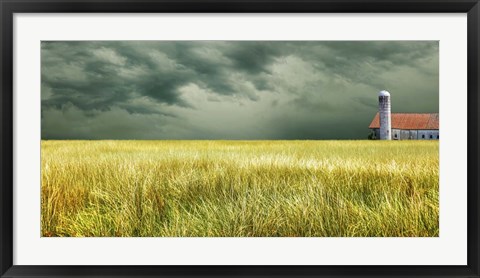 Framed Yellow Field Print