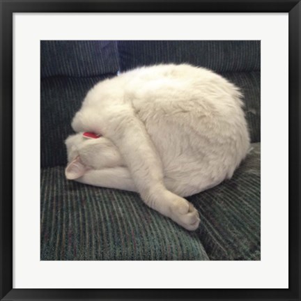 Framed Cat Yoga I Print