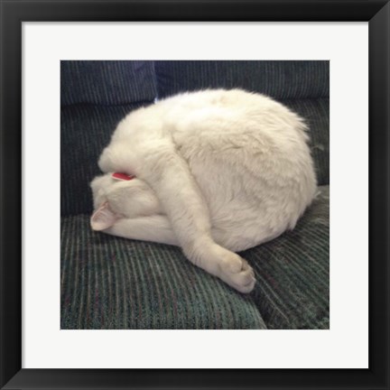 Framed Cat Yoga I Print