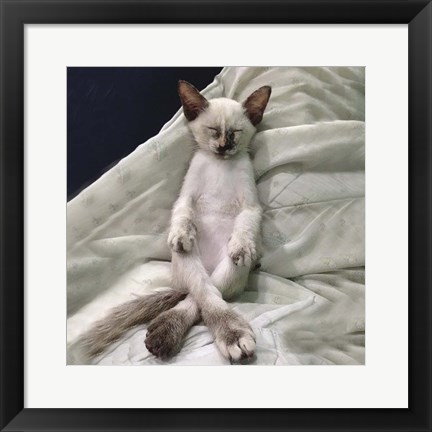 Framed Cat Yoga II Print