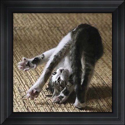Framed Cat Yoga IV Print