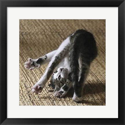 Framed Cat Yoga IV Print