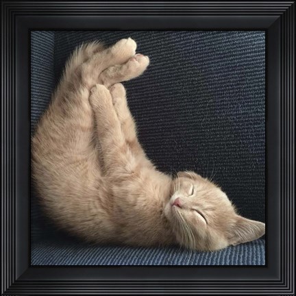 Framed Cat Yoga VII Print