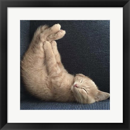 Framed Cat Yoga VII Print