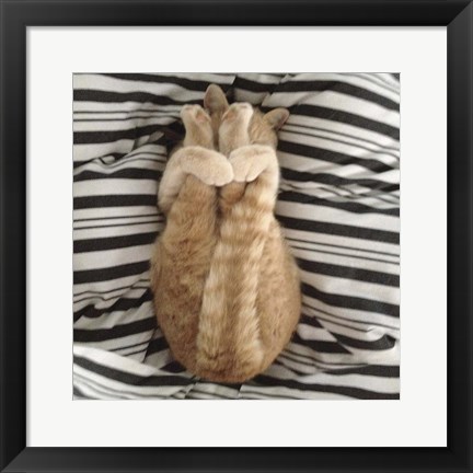 Framed Cat Yoga IX Print