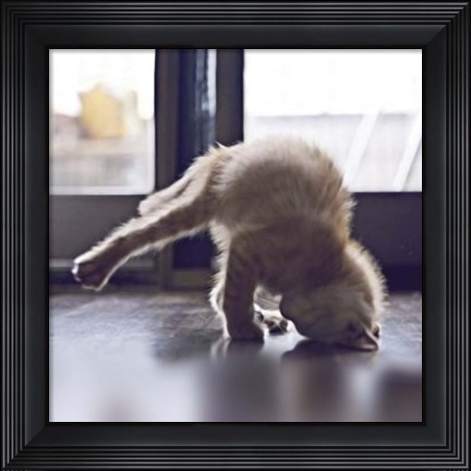 Framed Cat Yoga X Print