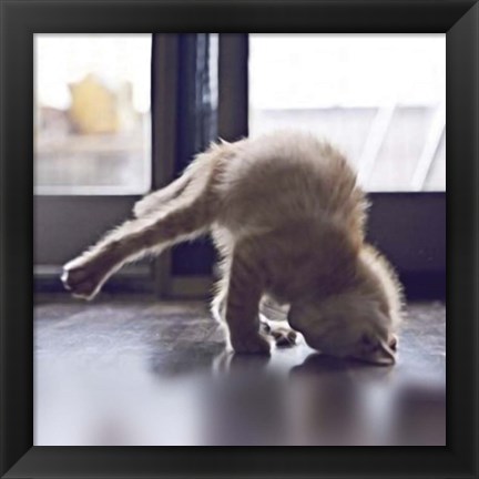 Framed Cat Yoga X Print