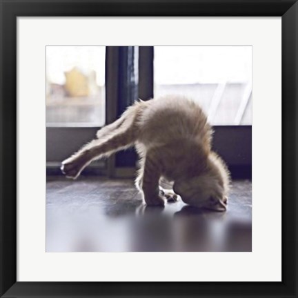 Framed Cat Yoga X Print