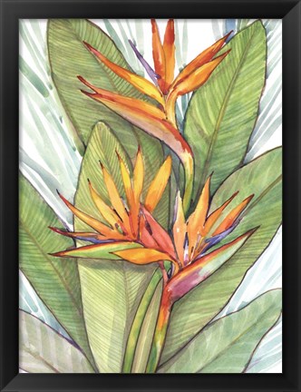 Framed Tropical Botanical Paradise I Print