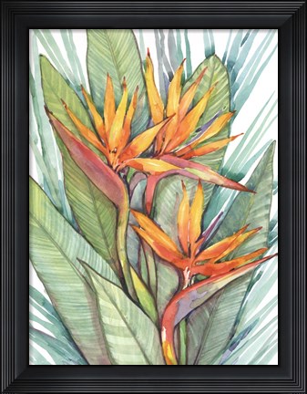 Framed Tropical Botanical Paradise II Print