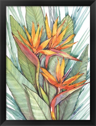 Framed Tropical Botanical Paradise II Print