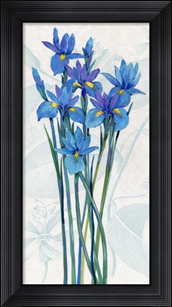 Framed Blue Iris Panel I Print