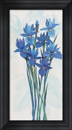 Framed Blue Iris Panel II Print