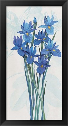 Framed Blue Iris Panel II Print