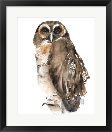 Framed Watercolor Owl I Print