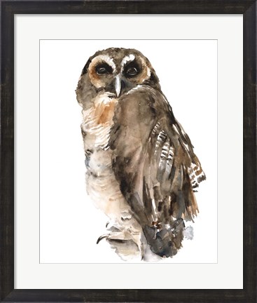 Framed Watercolor Owl I Print