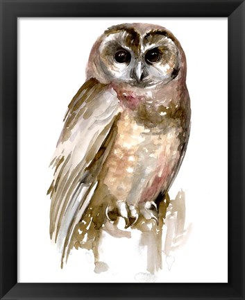 Framed Watercolor Owl II Print