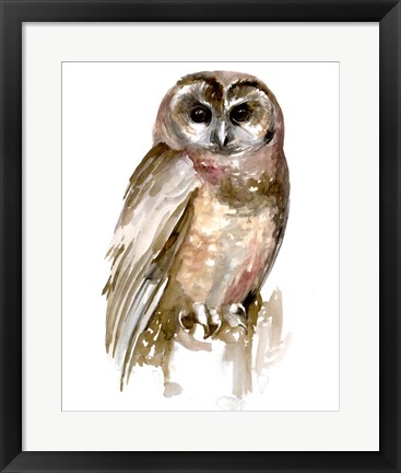 Framed Watercolor Owl II Print