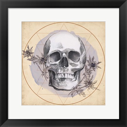 Framed Skull Thistle I Print