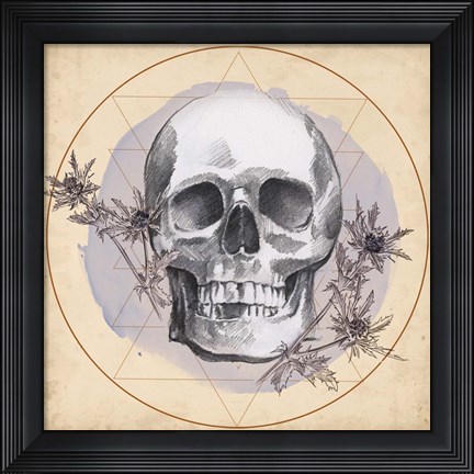 Framed Skull Thistle I Print