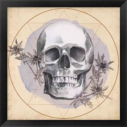 Framed Skull Thistle I Print