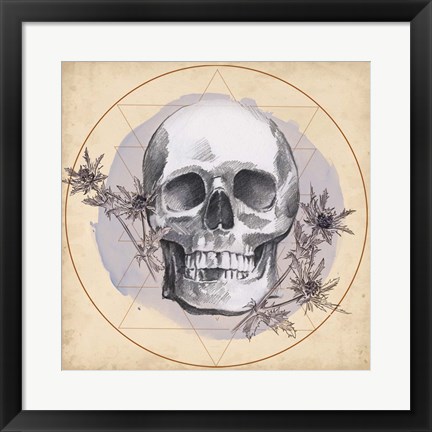 Framed Skull Thistle I Print