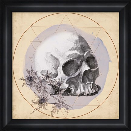 Framed Skull Thistle II Print