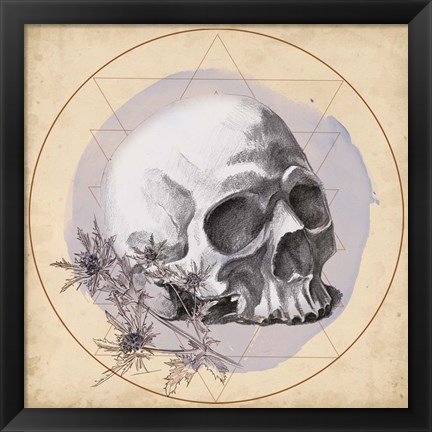 Framed Skull Thistle II Print