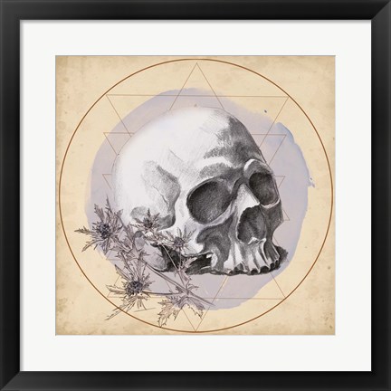 Framed Skull Thistle II Print