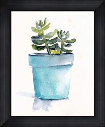 Framed Potted Succulent II Print