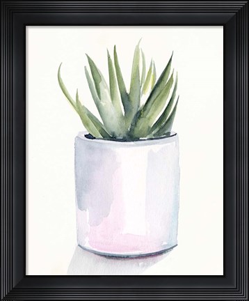 Framed Potted Succulent III Print