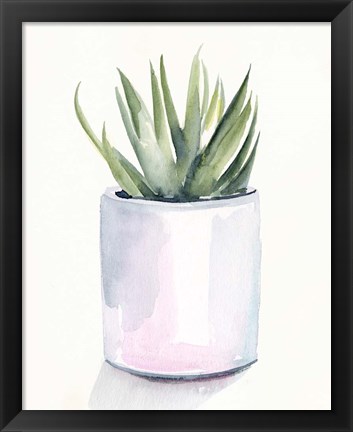 Framed Potted Succulent III Print