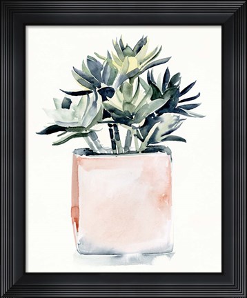 Framed Potted Succulent IV Print