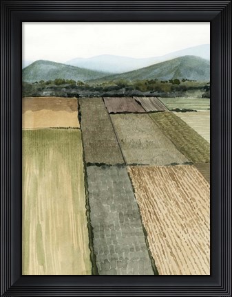 Framed This Land I Print