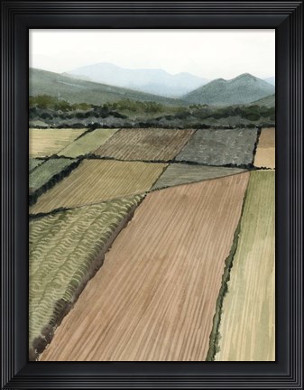 Framed This Land II Print