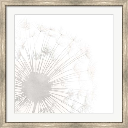 Framed Dandelion Whisper I Print