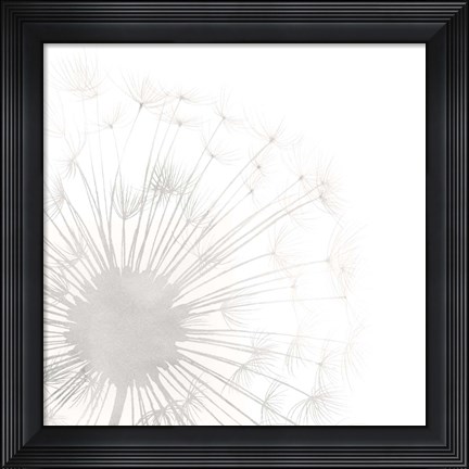 Framed Dandelion Whisper I Print