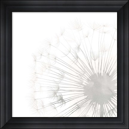 Framed Dandelion Whisper II Print