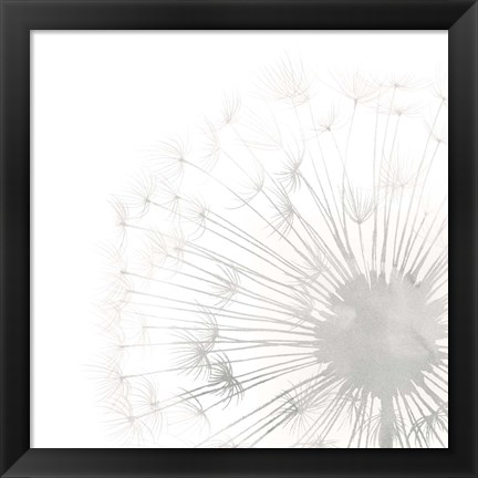 Framed Dandelion Whisper II Print