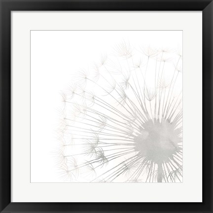 Framed Dandelion Whisper II Print