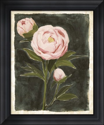 Framed Vintage Peonies I Print